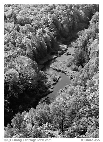 River and trees in autumn colors, Porcupine Mountains State Park. USA (black and white)