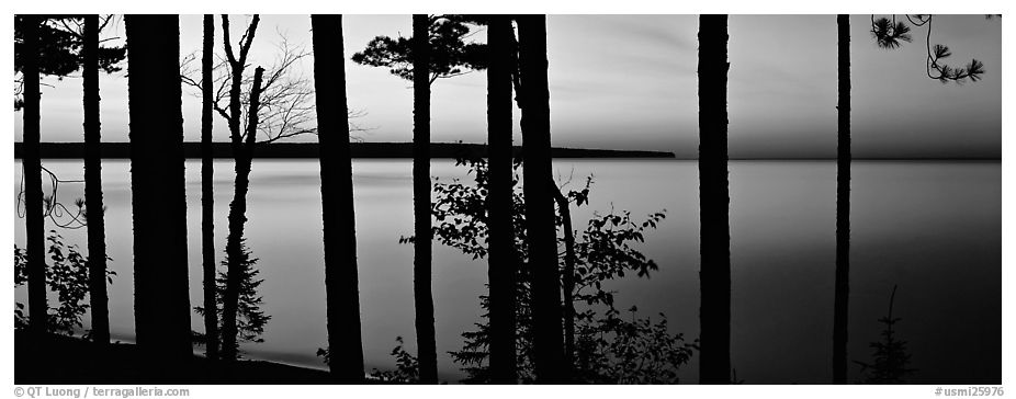 Sunset lakescape through trees, Lake Superior. Upper Michigan Peninsula, USA (black and white)