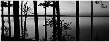 Sunset lakescape through trees, Lake Superior. Upper Michigan Peninsula, USA (Panoramic black and white)
