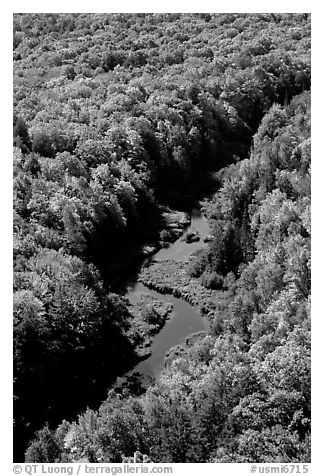 River and trees in autumn colors, Porcupine Mountains State Park. Upper Michigan Peninsula, USA (black and white)