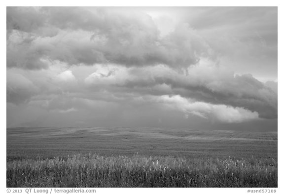 Storm clouds over field. North Dakota, USA (black and white)
