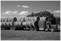Truck loaded with hay rolls, Medora. North Dakota, USA (black and white)