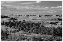 Farmlands and distant badlands. North Dakota, USA ( black and white)