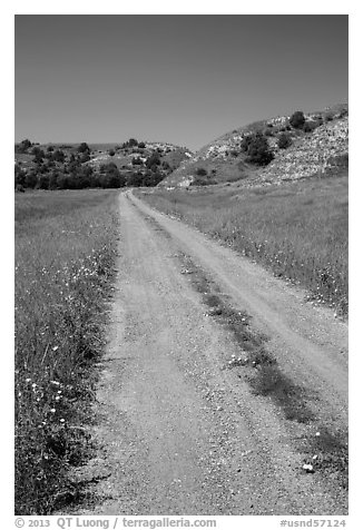 Narrow gravel road with wildflowers. North Dakota, USA (black and white)