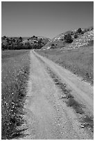 Narrow gravel road with wildflowers. North Dakota, USA ( black and white)