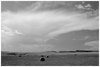 Hay rolls and storm cloud. North Dakota, USA ( black and white)