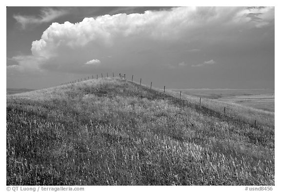 Grassy hills. North Dakota, USA (black and white)