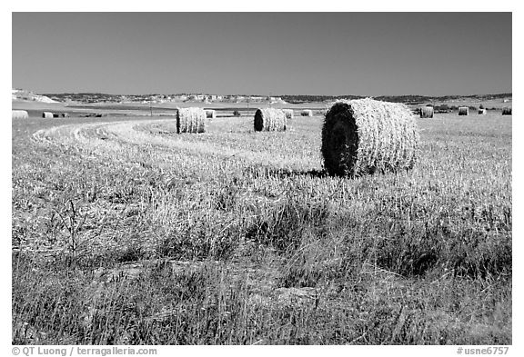 Hay rolls.. Nebraska, USA (black and white)