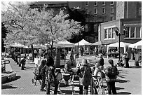Saturday market in autumn. Concord, New Hampshire, USA ( black and white)