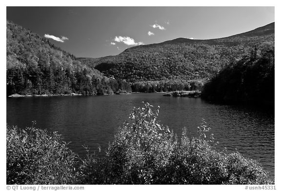 Beaver Pond and Kinsman Notch, White Mountain National Forest. New Hampshire, USA (black and white)