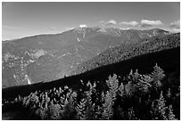 Forests and mountains, Franconia Notch State Park, White Mountain National Forest. New Hampshire, USA (black and white)