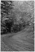 Rural road in the fall, White Mountain National Forest. New Hampshire, USA (black and white)