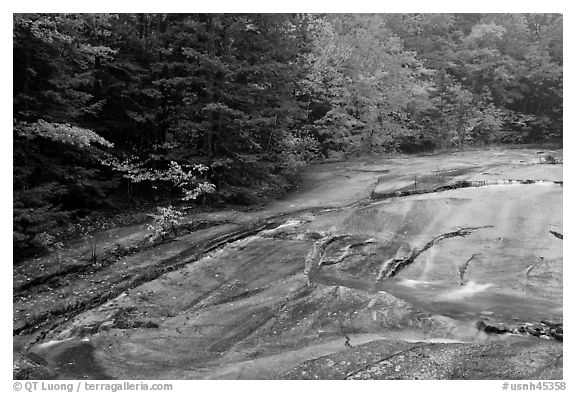 Stream over rock slab in autumn, Franconia Notch State Park. New Hampshire, USA