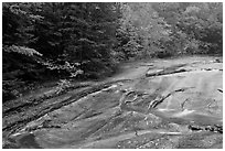 Stream over rock slab in autumn, Franconia Notch State Park. New Hampshire, USA (black and white)