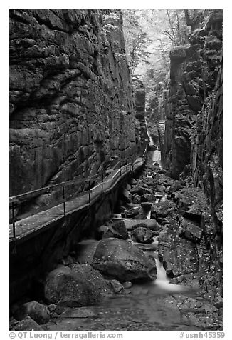 Flume Gorge, Franconia Notch State Park. New Hampshire, USA (black and white)