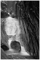 Flume Brook, Franconia Notch State Park. New Hampshire, USA (black and white)
