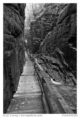 Boardwalk in the Flume, Franconia Notch State Park. New Hampshire, USA (black and white)