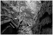 Rainy day at the Flume, Franconia Notch State Park. New Hampshire, USA (black and white)