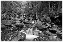 Creek in autumn, Franconia Notch State Park. New Hampshire, USA (black and white)