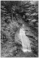 Avalanche Falls, Franconia Notch State Park. New Hampshire, USA (black and white)