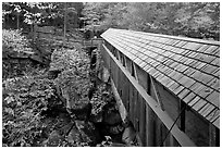 Sentinel Pine covered bridge, Franconia Notch State Park. New Hampshire, USA (black and white)