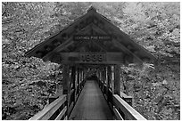 Covered footbridge in autumn, Franconia Notch State Park. New Hampshire, USA (black and white)
