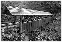 Wooden covered bridge in the fall, Franconia Notch State Park. New Hampshire, USA ( black and white)