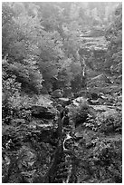 Waterfall, Crawford Notch State Park, White Mountain National Forest. New Hampshire, USA (black and white)