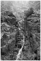 Silver Cascade in Autumn, Crawford Notch State Park. New Hampshire, USA (black and white)