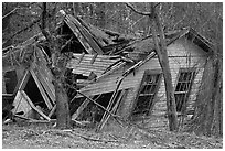 Ruined house in forest. New Hampshire, USA (black and white)