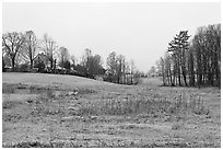 Rural scenery. Walpole, New Hampshire, USA ( black and white)