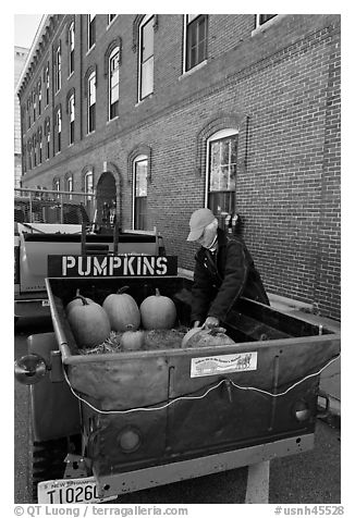 Farmers market. Concord, New Hampshire, USA (black and white)