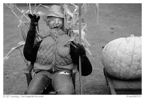 Scarecrow. New Hampshire, New England, USA (black and white)