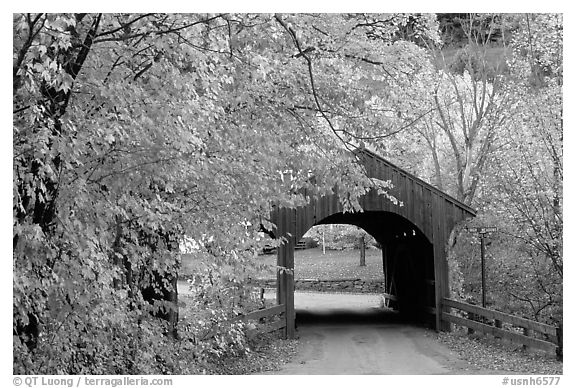 Covered bridge in autumn, Bath. New Hampshire, USA (black and white)