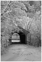 Covered bridge in the fall, Bath. New Hampshire, USA ( black and white)