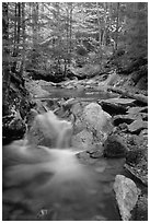 Stream in fall, Franconia Notch State Park. New Hampshire, USA (black and white)