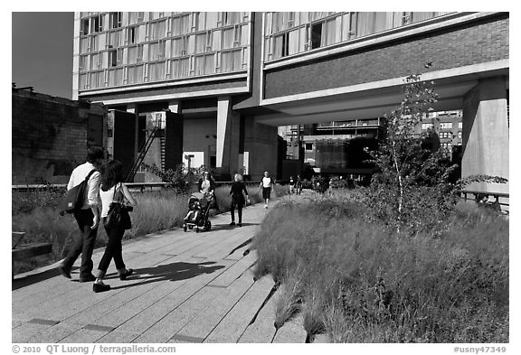 Walking the High Line. NYC, New York, USA (black and white)