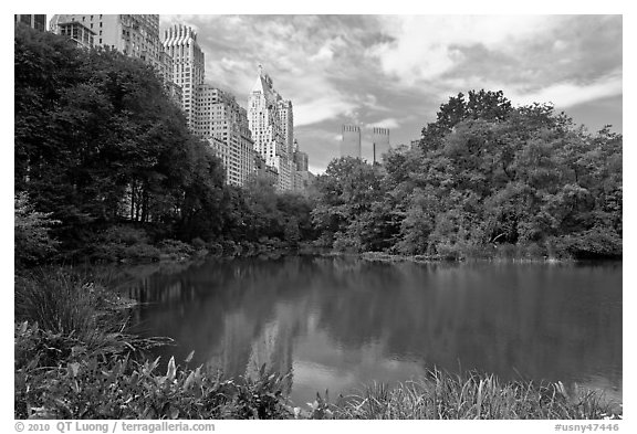 Pond and high-rise buildings, Central Park. NYC, New York, USA