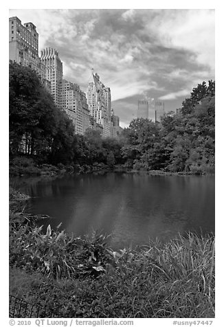 Central Park pond and nearby buildings. NYC, New York, USA (black and white)