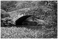 Stone bridge, Central Park. NYC, New York, USA ( black and white)