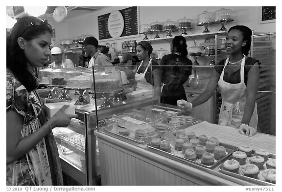 Cupcakes sold in bakery. NYC, New York, USA