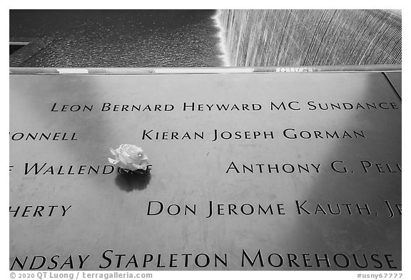 Rose and victim names, September 11 Memorial. NYC, New York, USA (black and white)