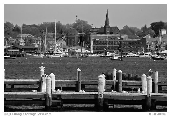 Harbor and waterfront. Newport, Rhode Island, USA (black and white)