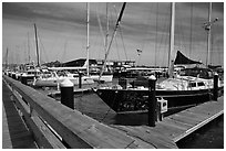Large yachts in Newport harbor. Newport, Rhode Island, USA ( black and white)