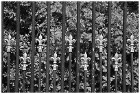 Fence with the French Fleur de Lys royalty emblem. Newport, Rhode Island, USA ( black and white)