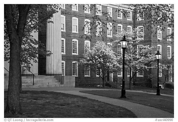 Columns, brick buildings, flowering dogwoods, and gas lamps, Brown University. Providence, Rhode Island, USA (black and white)
