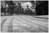 Highway covered with hailstones, Black Hills National Forest. Black Hills, South Dakota, USA ( black and white)