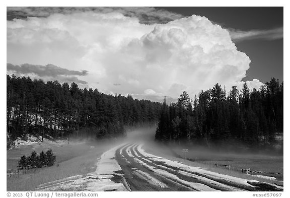 Clearing hailstorm, Black Hills National Forest. Black Hills, South Dakota, USA (black and white)