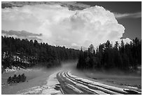 Clearing hailstorm, Black Hills National Forest. Black Hills, South Dakota, USA ( black and white)