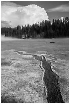 Meadow with hailstones, hail storm clearing, Black Hills National Forest. Black Hills, South Dakota, USA (black and white)